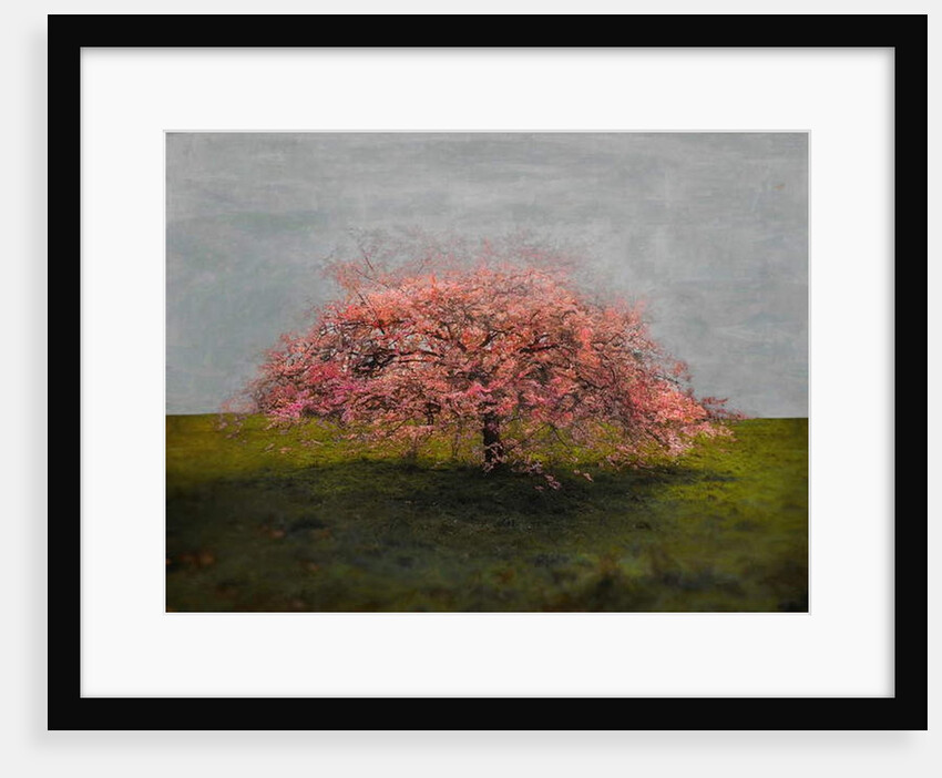 Stand Alone Beauty, 2019 by Helen White