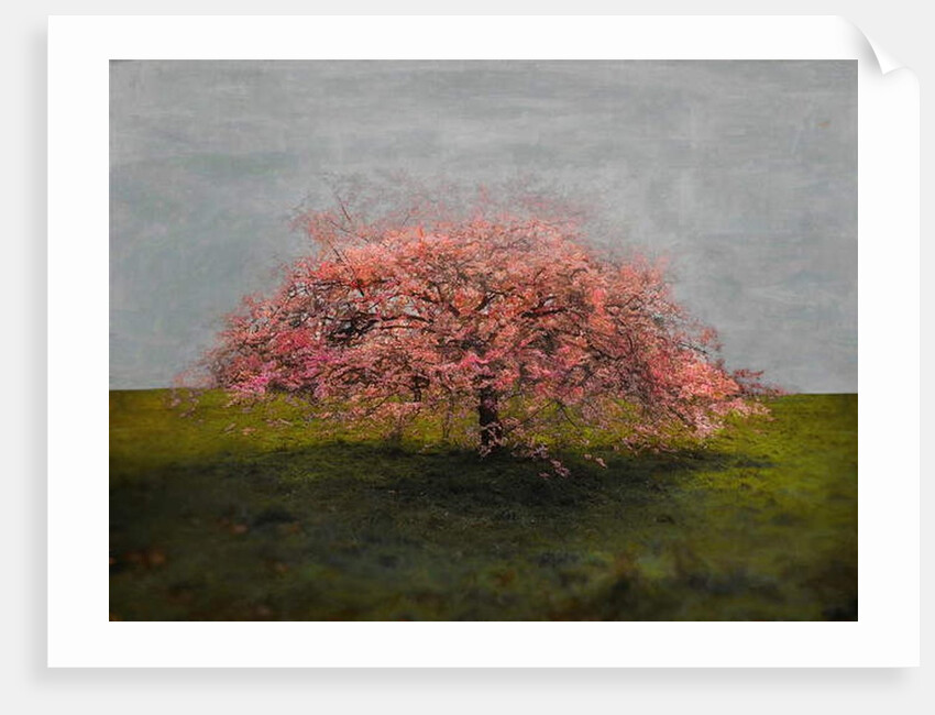 Stand Alone Beauty, 2019 by Helen White