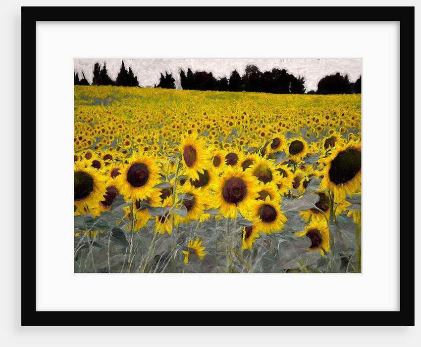 Sunny-Sided Hill, 2019 (manipulated photography by Helen White