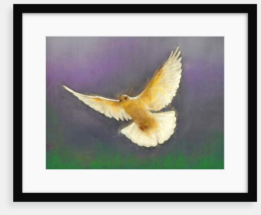 Bringer of Peace, 2019 by Helen White