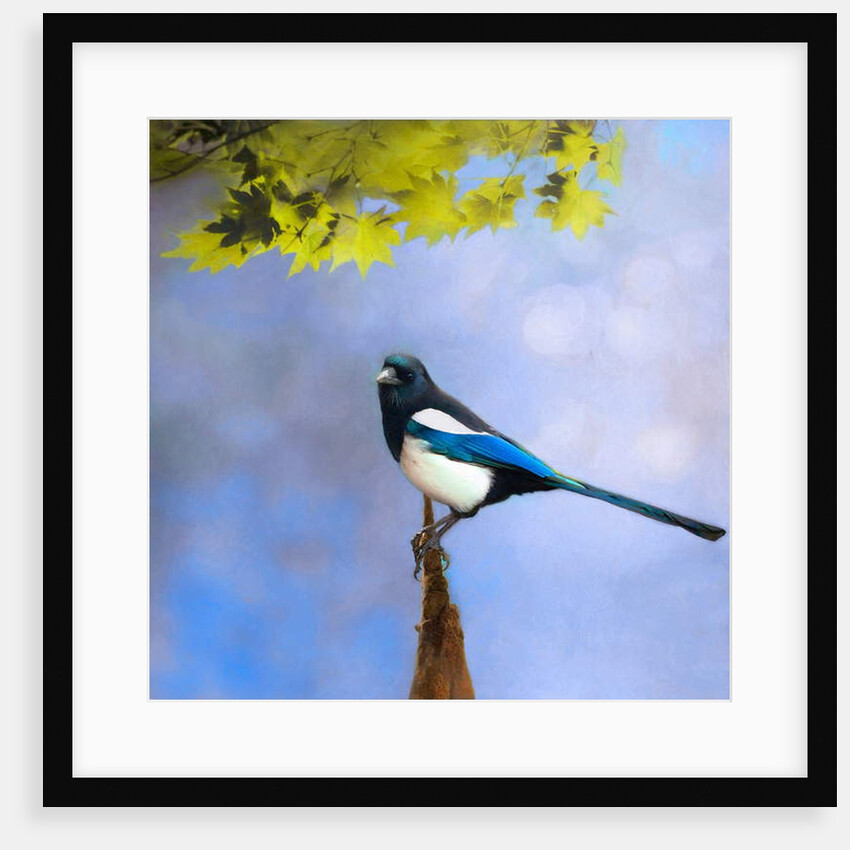 Balance Keeper, 2019 by Helen White