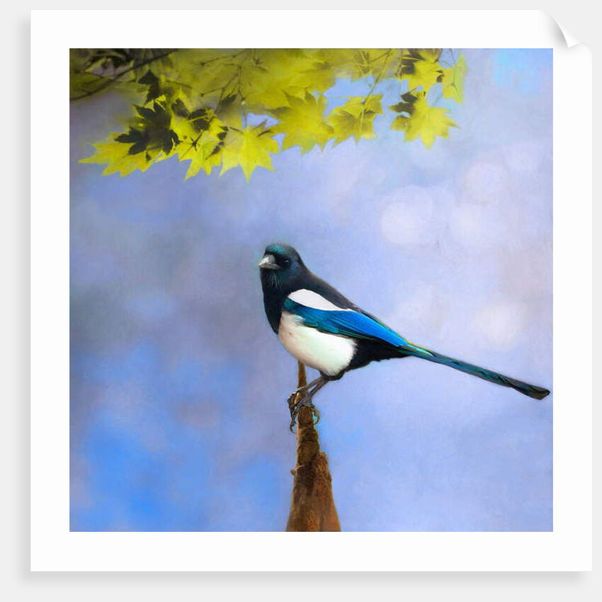 Balance Keeper, 2019 by Helen White