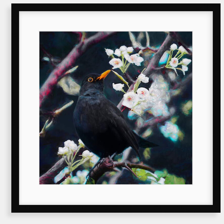 Lord of the Summer Song, 2019 by Helen White