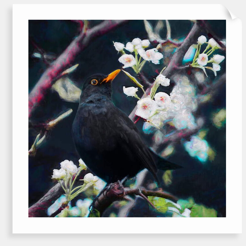 Lord of the Summer Song, 2019 by Helen White