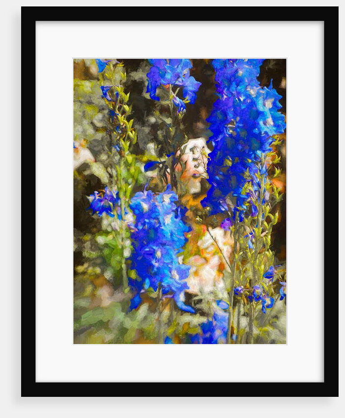 Blue Delphiniums, 2019 by Helen White