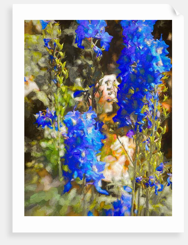 Blue Delphiniums, 2019 by Helen White