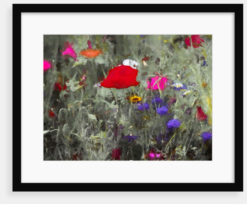 Wild, 2019 by Helen White