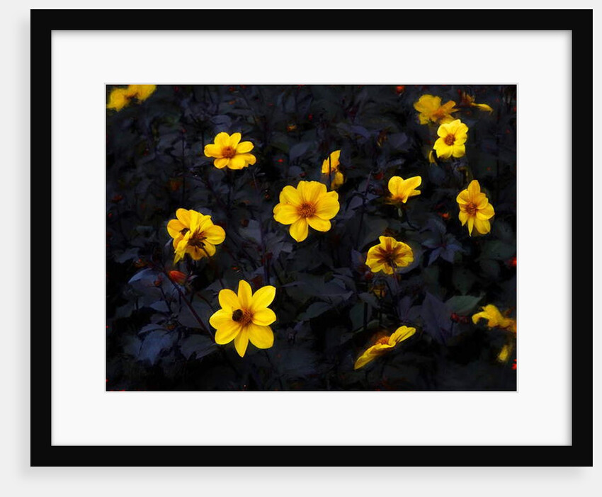 Yellow Velvet, 2019 by Helen White