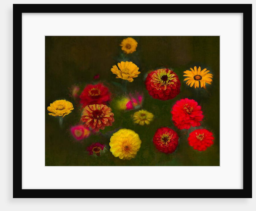 Outstanding Beauty, 2019 by Helen White