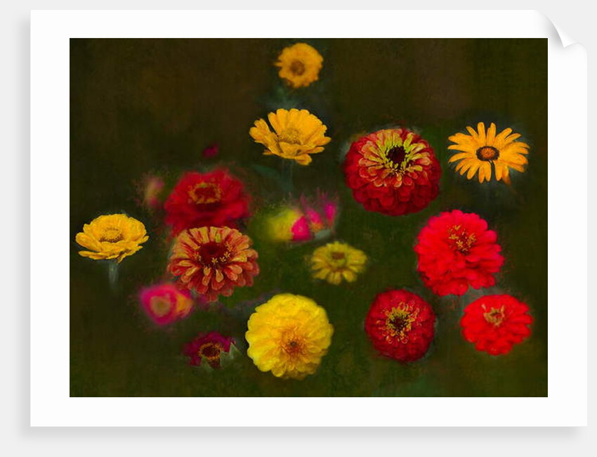 Outstanding Beauty, 2019 by Helen White