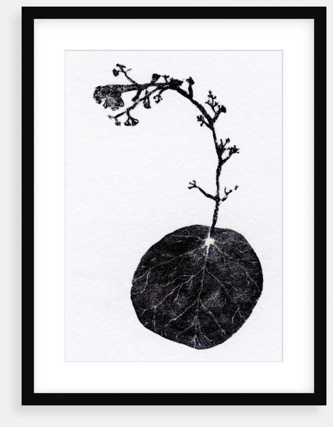 Lichen Leaf, 2014 by Bella Larsson