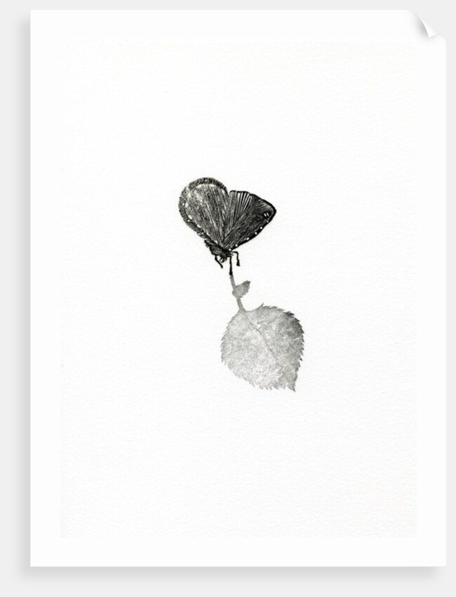 Suspense, 2014, by Bella Larsson