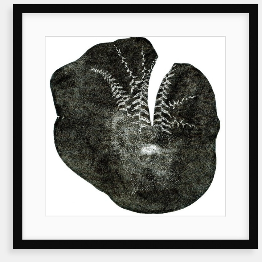 Exhale, 2014 by Bella Larsson