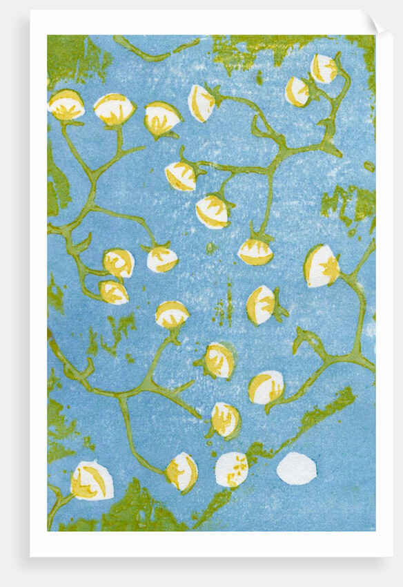 Fluffy Seedheads, 2012 by Bella Larsson