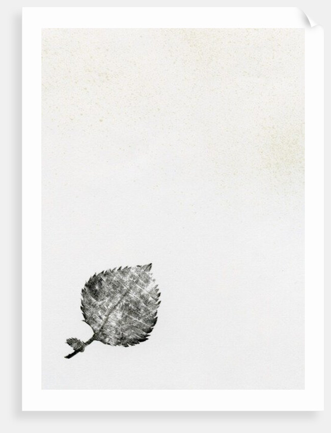 Leaf {Fay-erie Dust}, 2014 by Bella Larsson