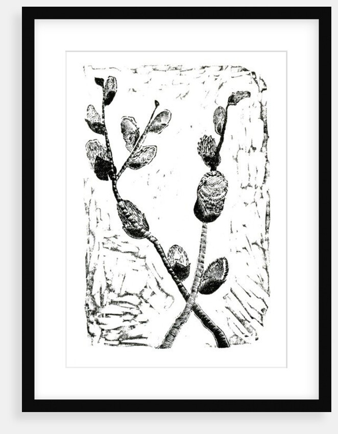 Sleeping Pussy Willow, 2014 by Bella Larsson