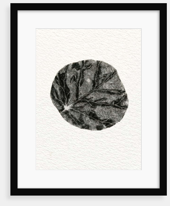 Leaf, 2014 by Bella Larsson