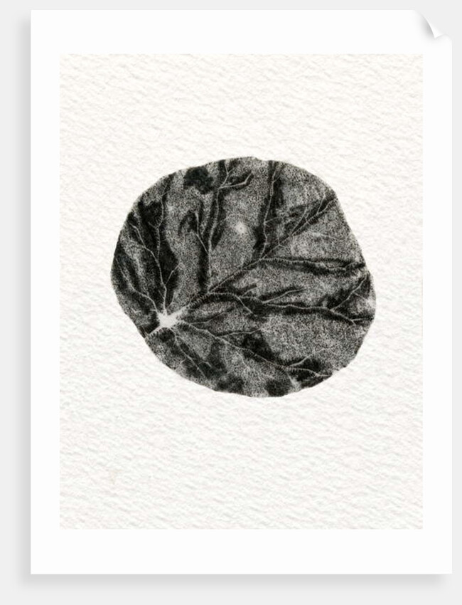 Leaf, 2014 by Bella Larsson