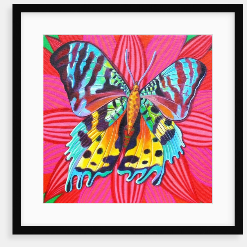 Sunset Moth, 2014 by Jane Tattersfield