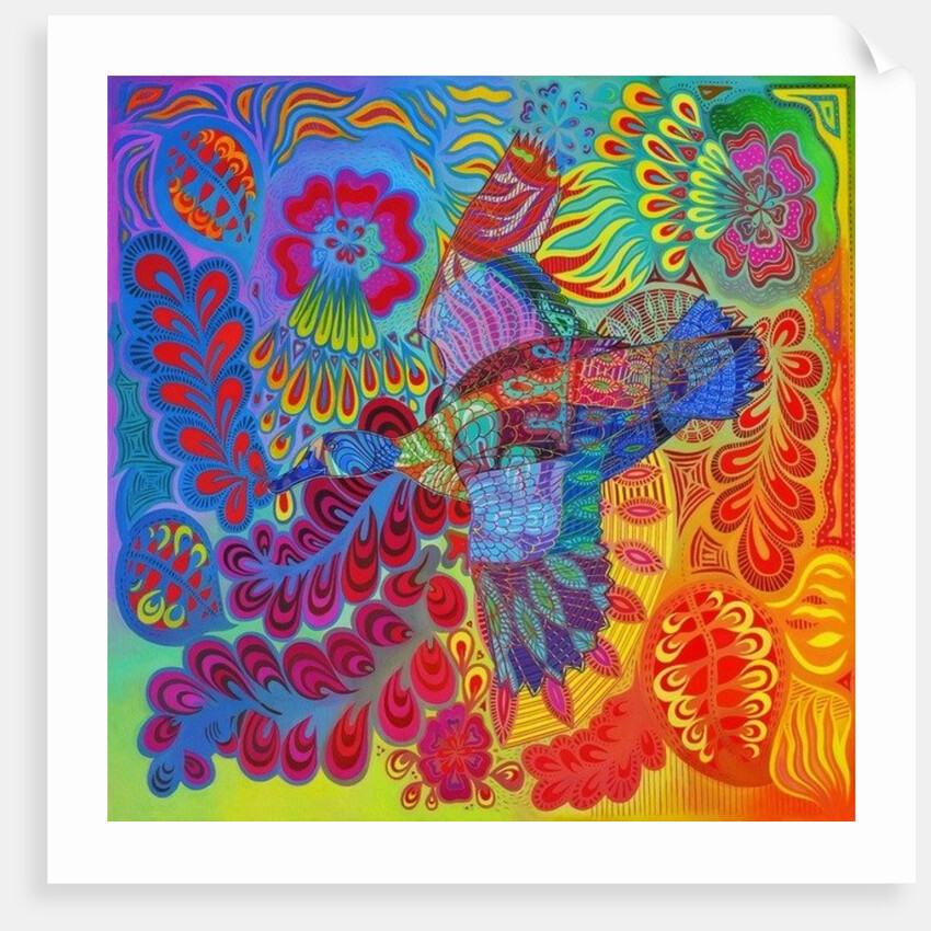 Flying duck, 2013 by Jane Tattersfield