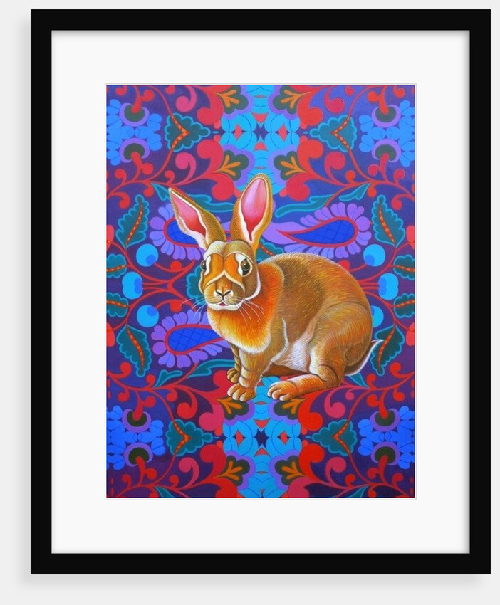Rabbit, 2014 by Jane Tattersfield