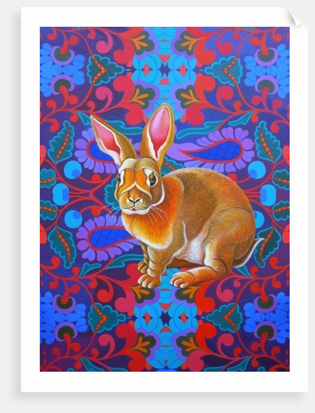 Rabbit, 2014 by Jane Tattersfield