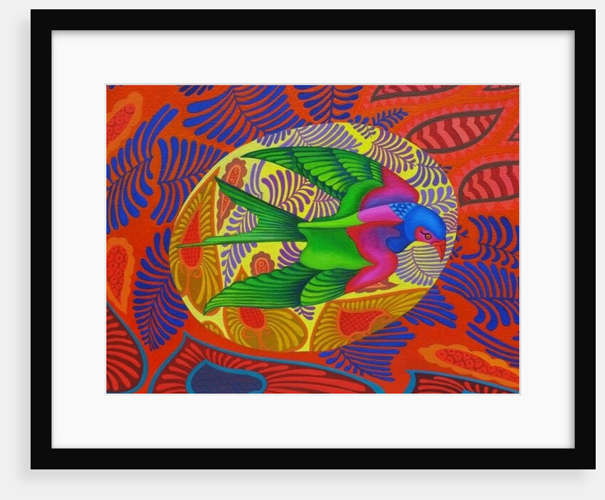 Swallow-tailed kite, 2012 by Jane Tattersfield