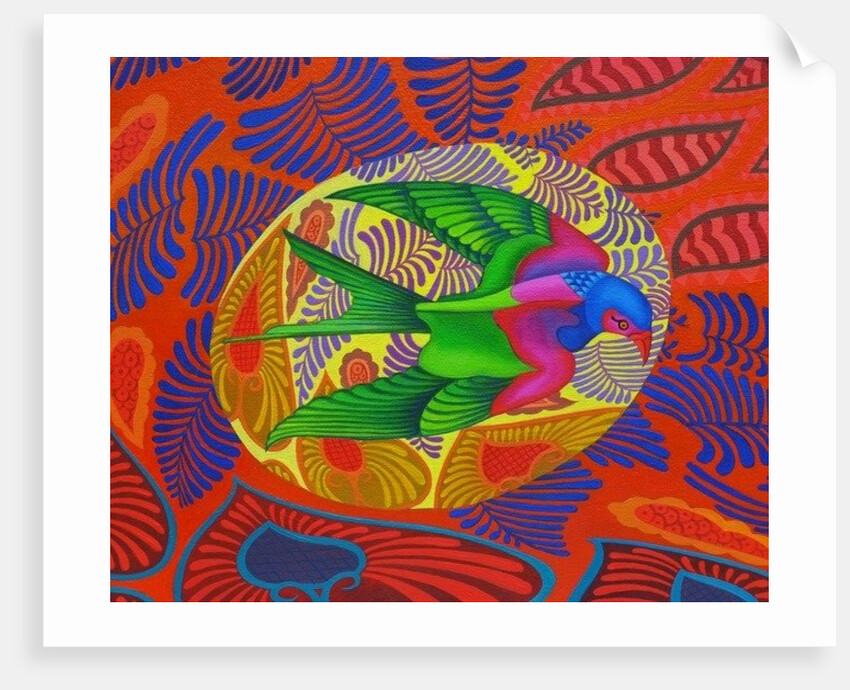 Swallow-tailed kite, 2012 by Jane Tattersfield