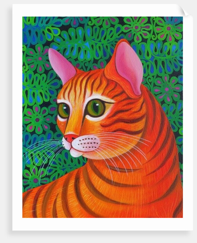 Tiger Cat, 2012 by Jane Tattersfield