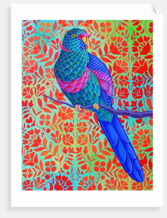 Blue Parrot, 2015 by Jane Tattersfield