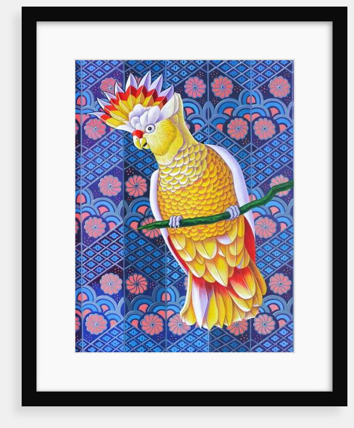 Cockatoo, 2016 by Jane Tattersfield