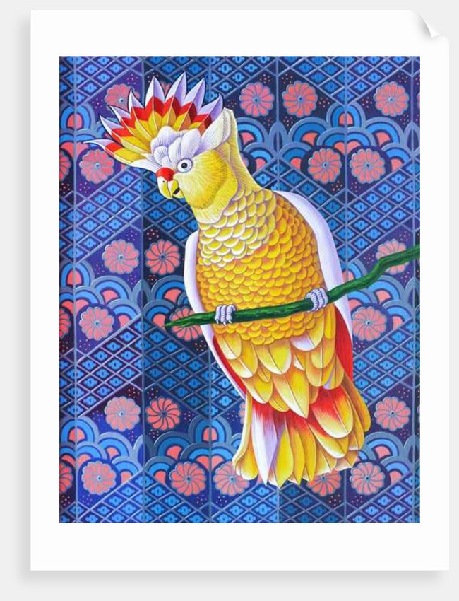 Cockatoo, 2016 by Jane Tattersfield