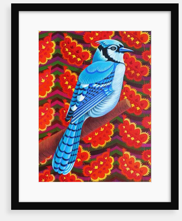 Blue Jay, 2016 by Jane Tattersfield