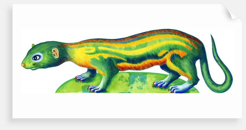 Ferret, 1996 by Jane Tattersfield