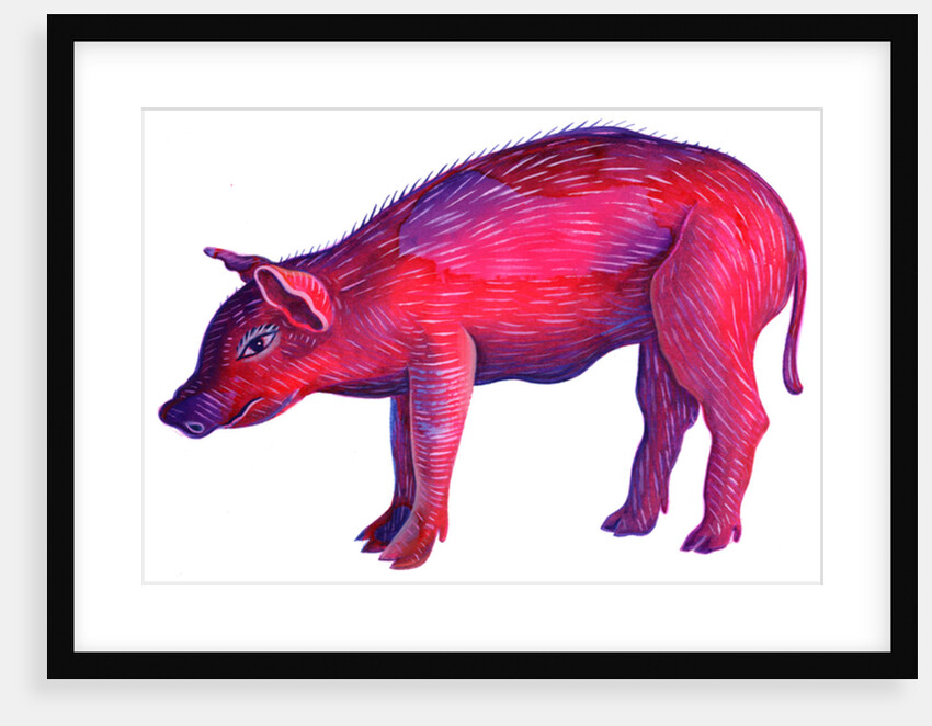 Pig, 1996 by Jane Tattersfield
