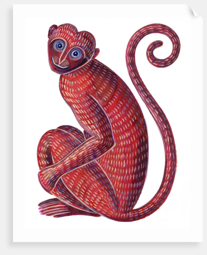Monkey, 1996 by Jane Tattersfield
