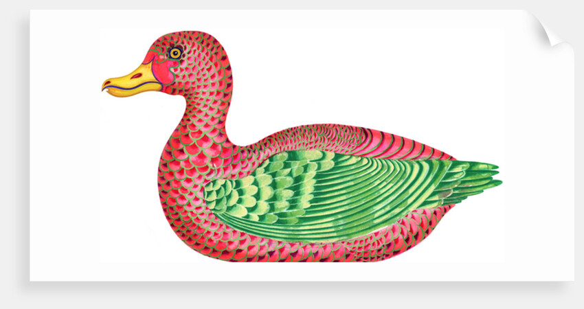 Duck, 1996 by Jane Tattersfield