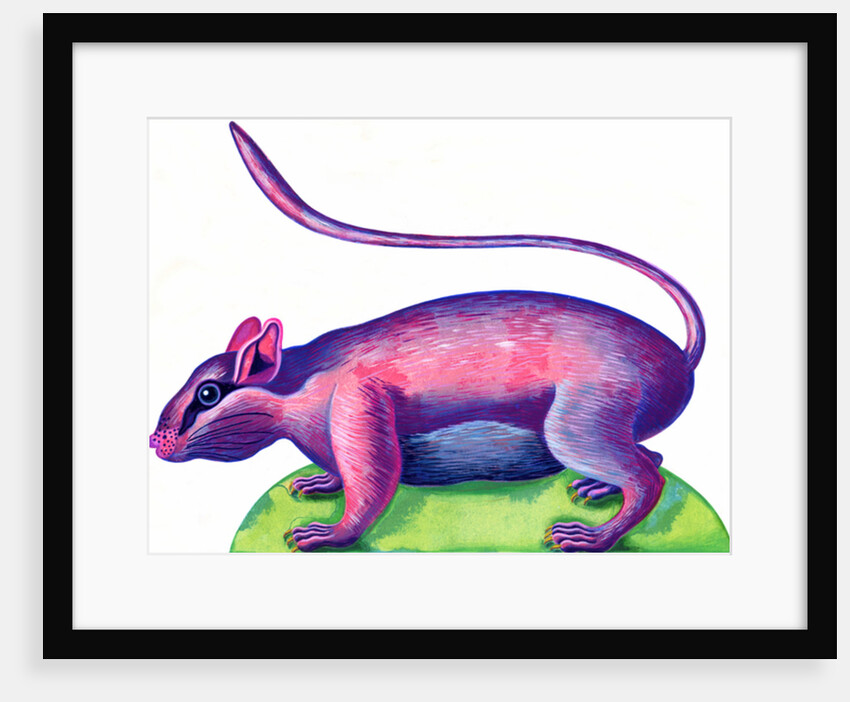 Rat, 1996 by Jane Tattersfield