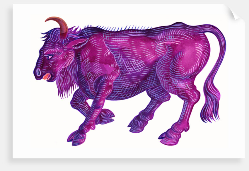 Raging Bull Taurus, 1996 by Jane Tattersfield