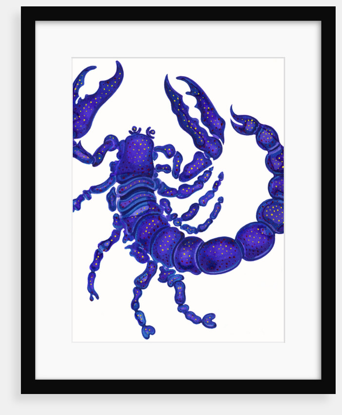 Scorpio, 1996 by Jane Tattersfield
