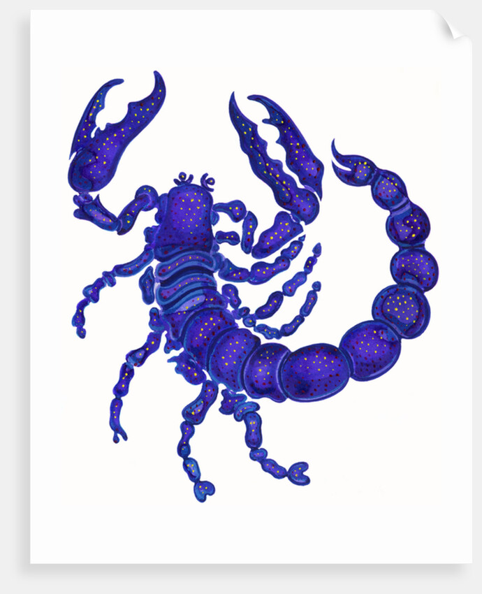 Scorpio, 1996 by Jane Tattersfield