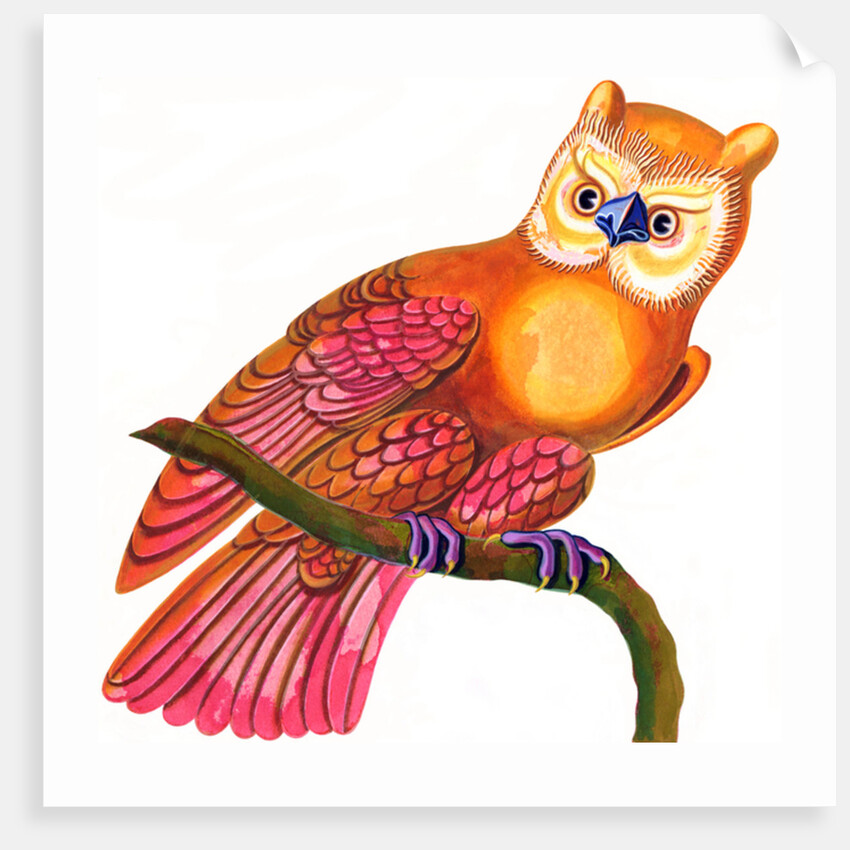 Owl, 1997 by Jane Tattersfield