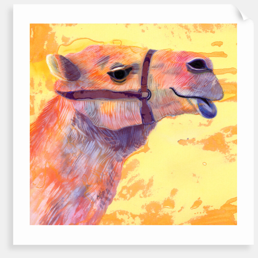 Camel, 1994 by Jane Tattersfield