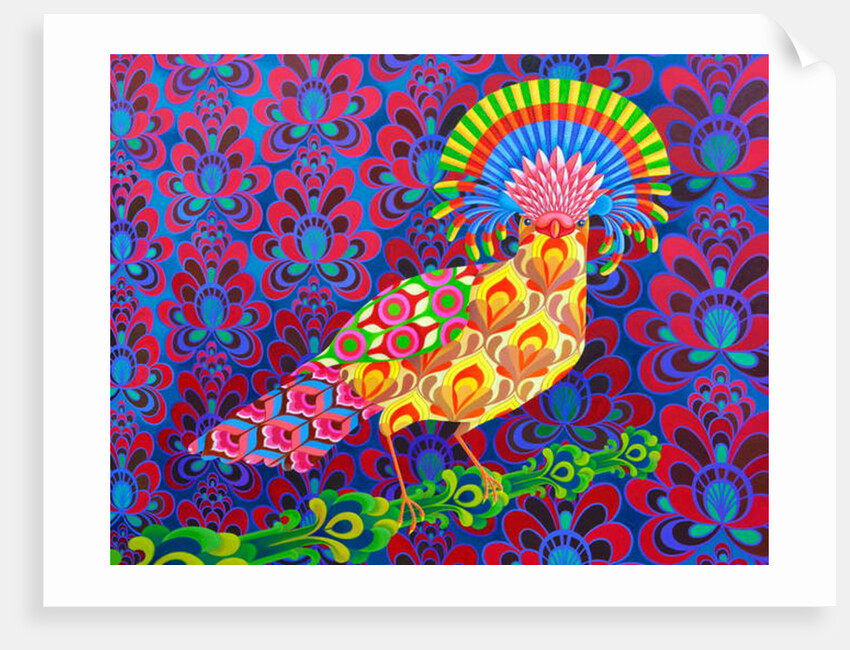 Fly catcher, 2017 by Jane Tattersfield
