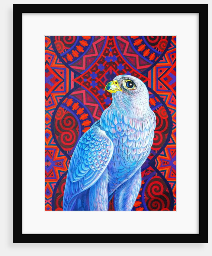 Grey falcon, 2017 by Jane Tattersfield