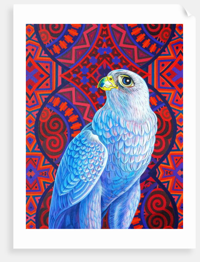 Grey falcon, 2017 by Jane Tattersfield