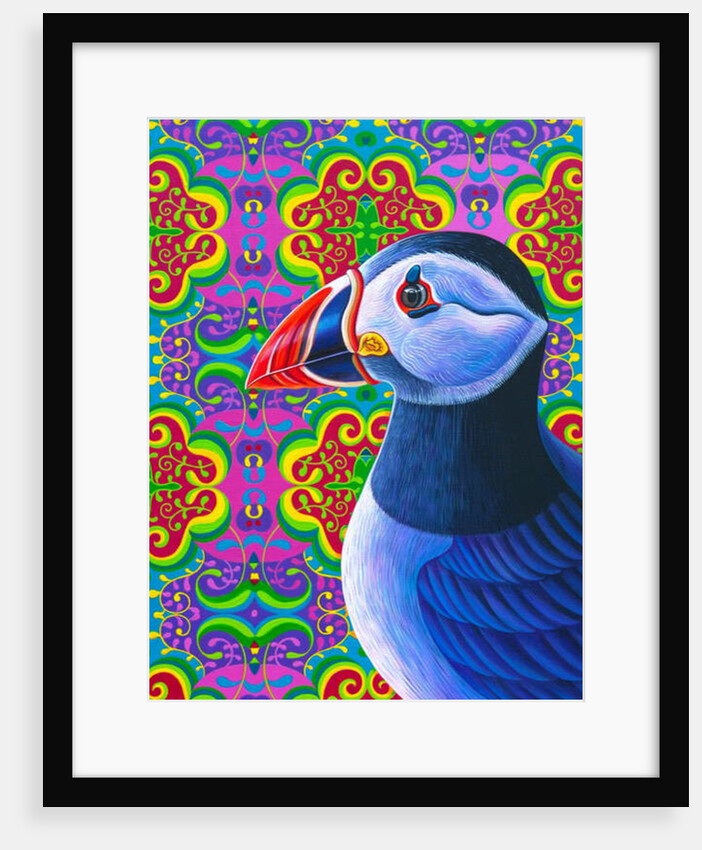 Puffin, 2018 by Jane Tattersfield