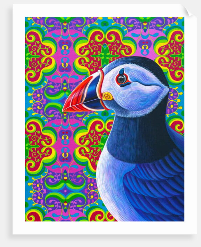Puffin, 2018 by Jane Tattersfield
