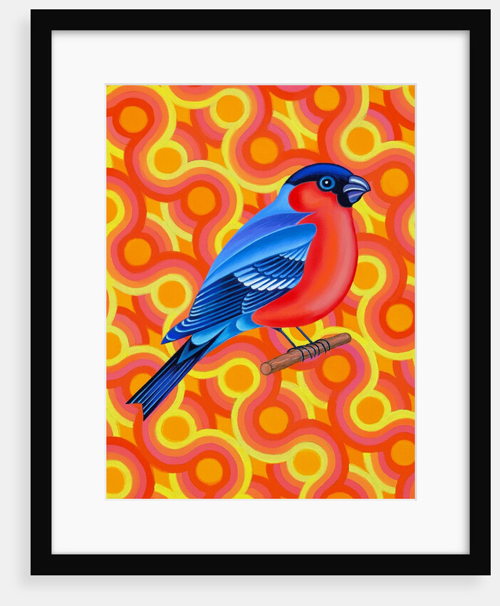 Bullfinch, 2023 by Jane Tattersfield