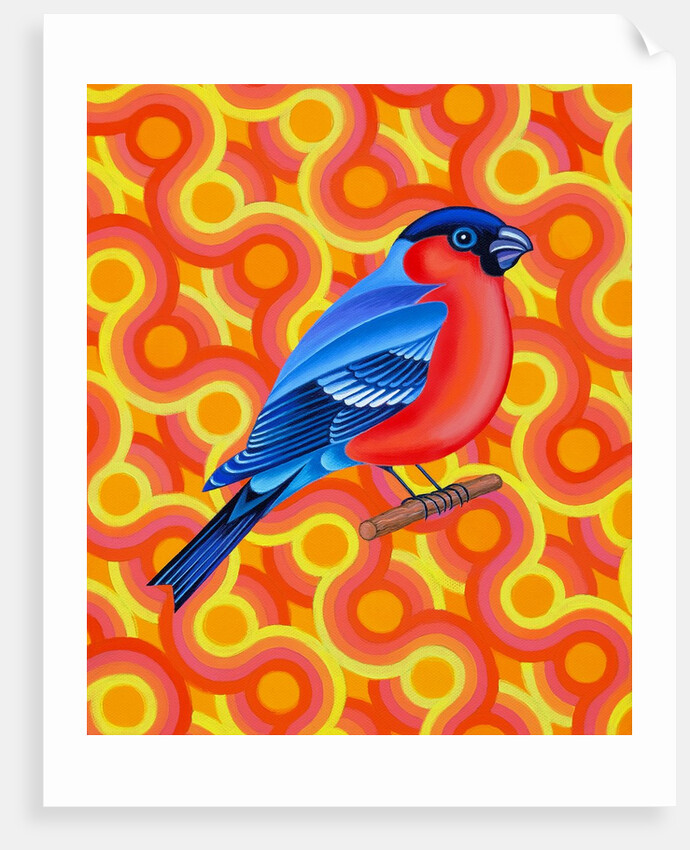 Bullfinch, 2023 by Jane Tattersfield